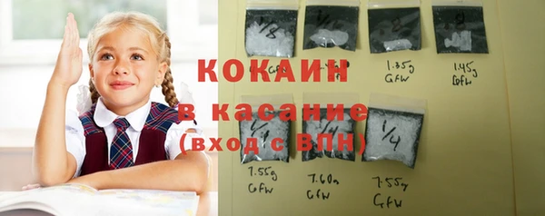 гашик Вязники