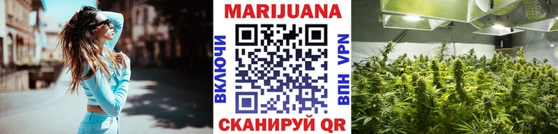 Канабис план  Дубна 